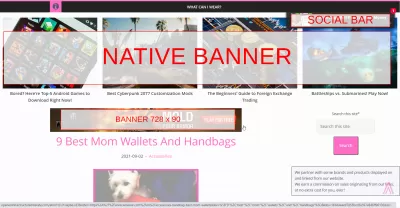 Adsterra Review: Hoeveel kunt u nemen uit hun advertenties? : Banners en sociale staafadvertenties weergegeven op een website