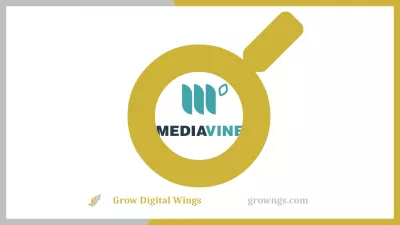 MediaVine Review - Produkter, Tjänster, Anslutningar