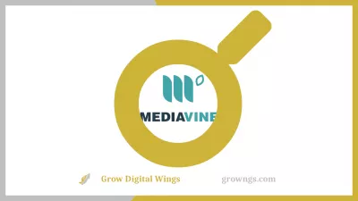 MediaVine revue - Produits, Services, Connectivité