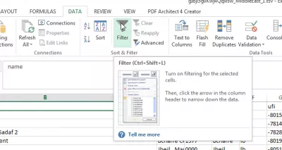 Filtro automático personalizado indolor do Excel em mais de 2 critérios : Aplicar filtro padrão