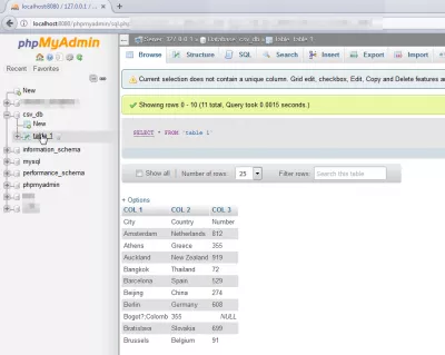 Så här importerar du en Excel-fil i en MySQL-databas i PHPMyAdmin : Databasdisplay