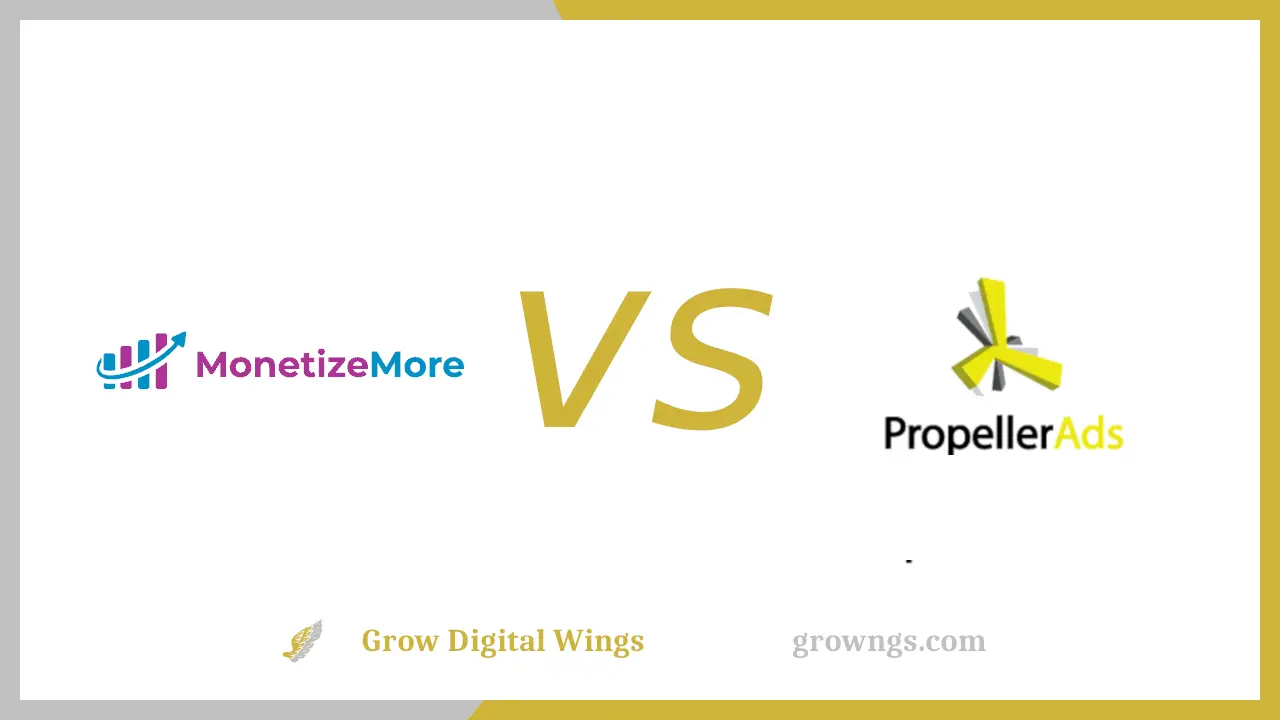 A Comparison of Two Companies and